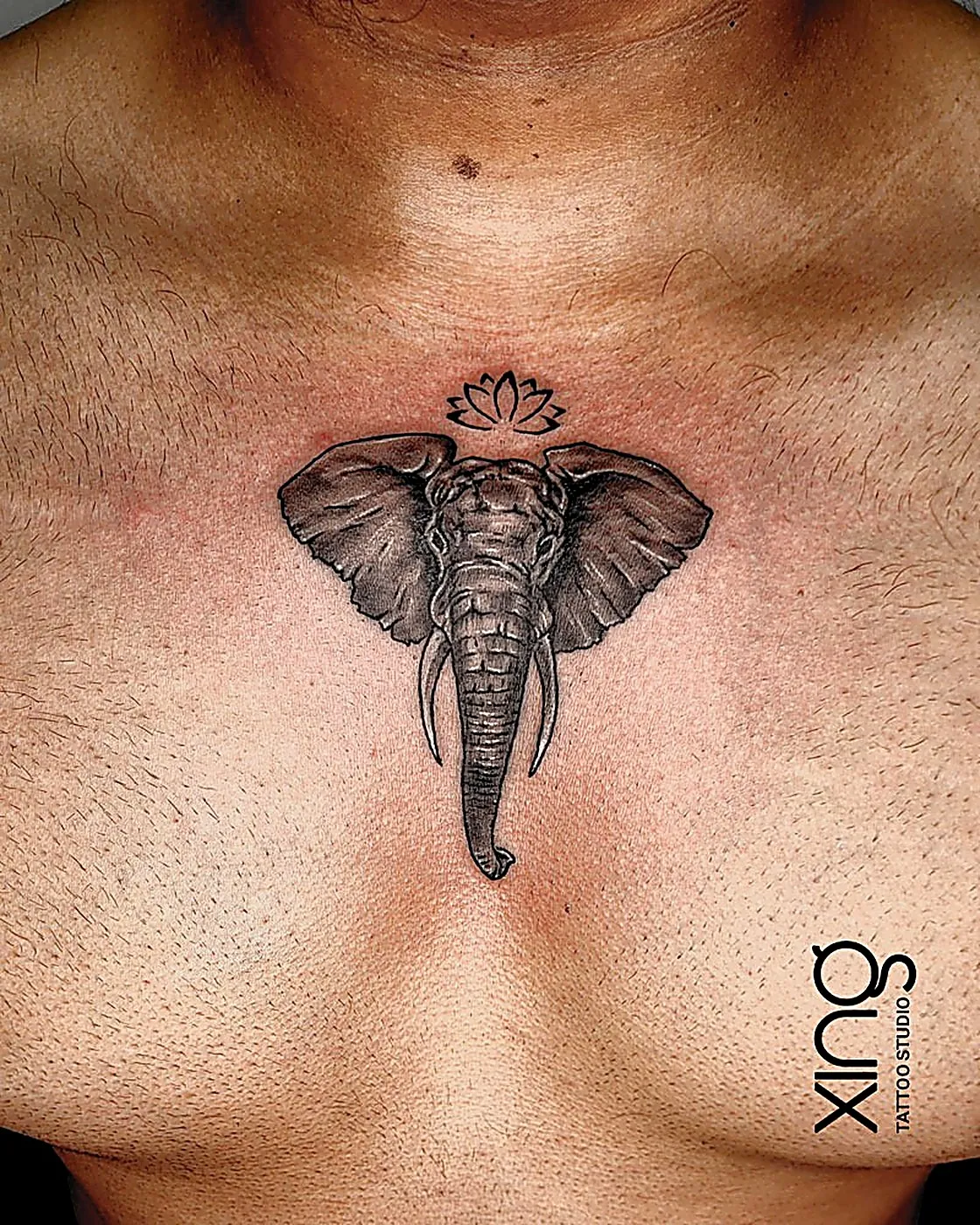 Realistic greyscale elephant head tattoo on chest